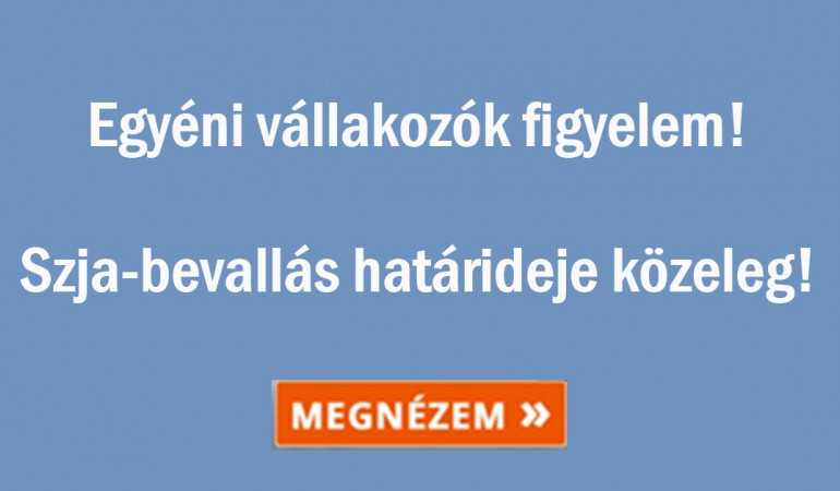 Egyéni vállalkozók, SZJA bevallási határidő: február 25.
