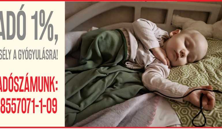 Adód 1%-át már most felajánlhatod ügyfélkapun keresztül!