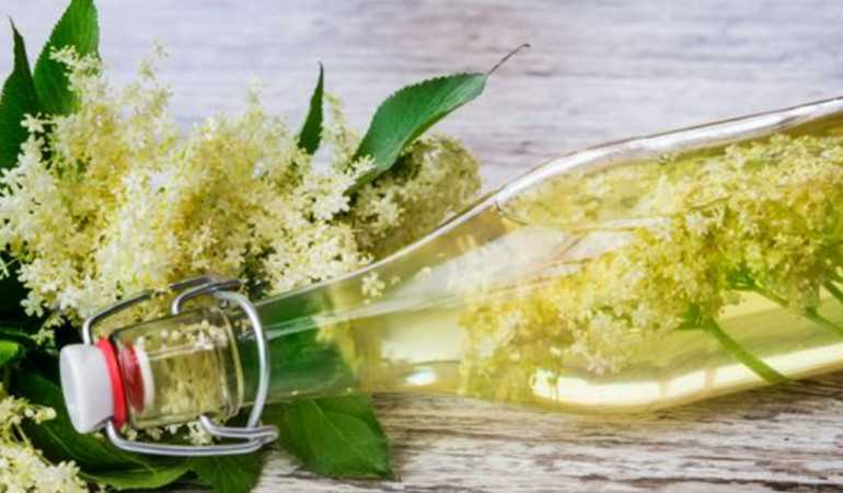 Bodzaszörp házilag