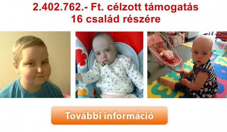 Célzott támogatás 2016. januárban