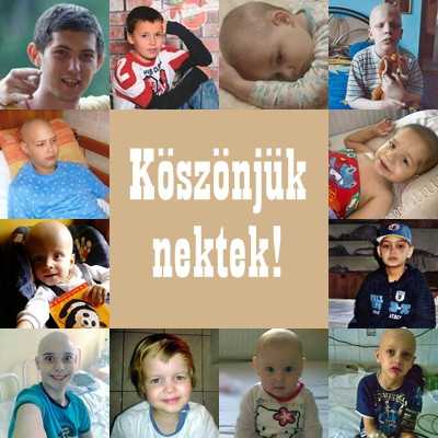 Célzott támogatások 2013. decemberben