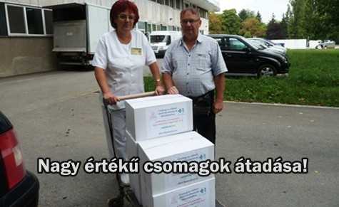 Egyedülálló segítség