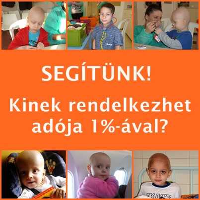 Kinek rendelkezhet adója 1%-ával?