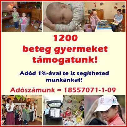 Közel 1200 beteg gyermeket támogatunk