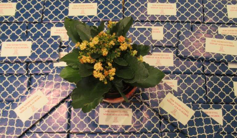 Nőnapi köszöntés, és az elismerés ajándékai