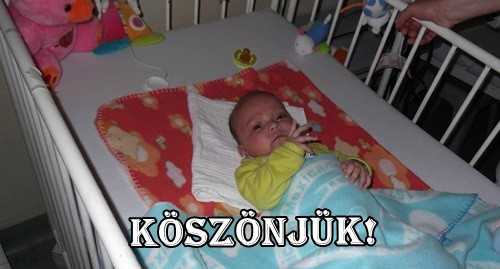 Szülői vélemény, érdemes elolvasni! 