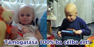 Támogatása 100%-ba célba ért!