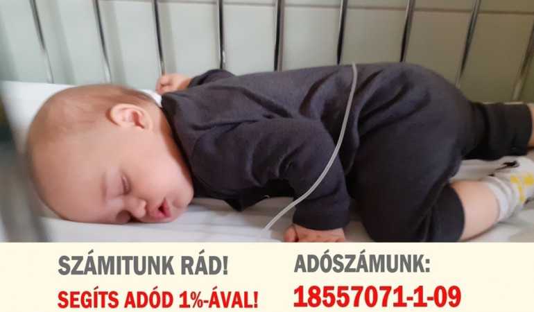 Már most dönthetsz adód 1%-áról, ügyfélkapu+ és Dáp segítségével!