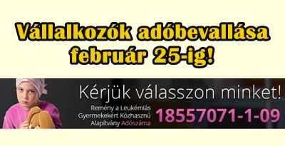 Vállalkozók adóbevallása-február 25-ig!