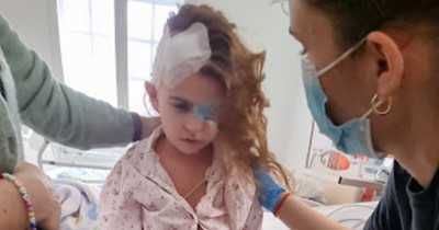 Az eSZJA felület megnyílt, lépj be és segíts, itt!