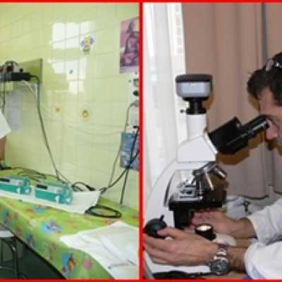 1% felajánlás a jótékony segítség! - alapítvány, adó 1%, támogatás