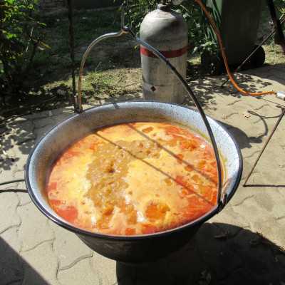 Kisszálláson mutathattuk be az alapítvány tevékenységét - alapítvány, adó 1%, támogatás