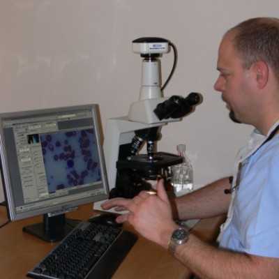 11 év képekben - adó, 1%, alapítvány, támogatás