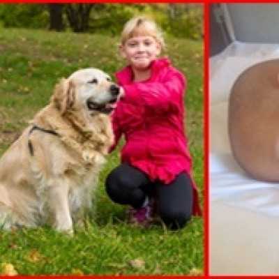 16 beteg gyermek részére: 504.092.- Ft adomány! Köszönjük! - alapítvány, adó 1%, támogatás