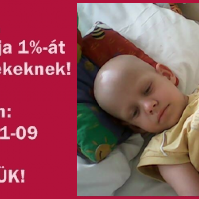17 éve segítjük a leukémiás és daganatos gyermekeket! - alapítvány, adó 1%, támogatás
