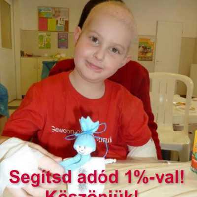 2014-ben is meg kell tenni adó bevallásunkat - alapítvány, adó 1%, támogatás