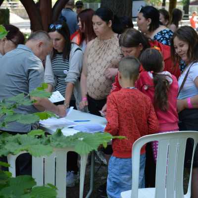 Nagyerdei Kultúrpark Családi Nap 2024. május 04. - adó, 1%, alapítvány, támogatás