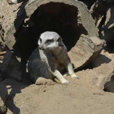 Csodálatos napot tölthettünk együtt a Nagyerdei Kultúrparkban - alapítvány, adó 1%, támogatás