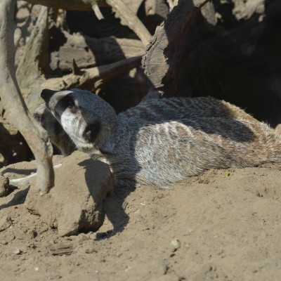 Csodálatos napot tölthettünk együtt a Nagyerdei Kultúrparkban - alapítvány, adó 1%, támogatás