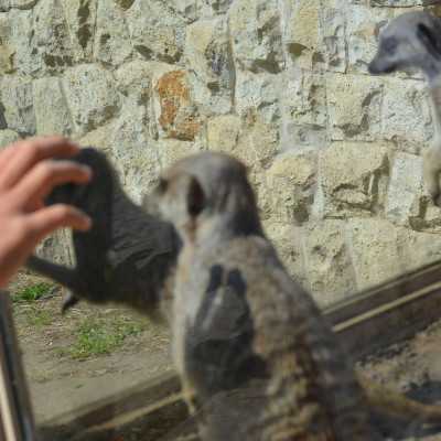 Nagyerdei Kultúrpark Családi Nap 2024. május 04. - adó, 1%, alapítvány, támogatás