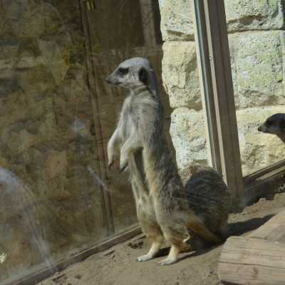 Nagyerdei Kultúrpark Családi Nap 2024. május 04. - adó, 1%, alapítvány, támogatás