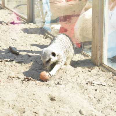 Csodálatos napot tölthettünk együtt a Nagyerdei Kultúrparkban - alapítvány, adó 1%, támogatás
