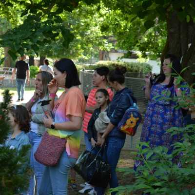 Nagyerdei Kultúrpark Családi Nap 2024. május 04. - adó, 1%, alapítvány, támogatás