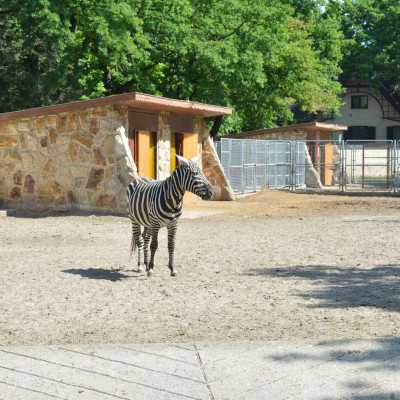Csodálatos napot tölthettünk együtt a Nagyerdei Kultúrparkban - alapítvány, adó 1%, támogatás