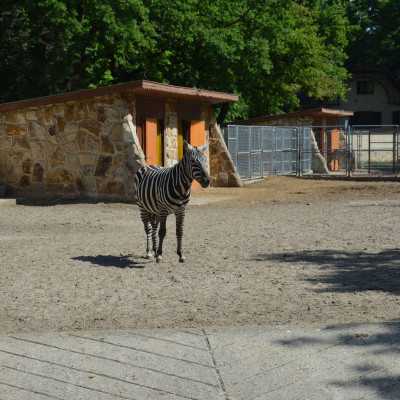 Nagyerdei Kultúrpark Családi Nap 2024. május 04. - adó, 1%, alapítvány, támogatás