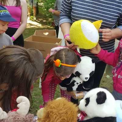 Nagyerdei Kultúrpark Családi Nap 2024. május 04. - adó, 1%, alapítvány, támogatás