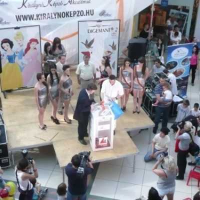 A Királynõképzõ Akadémia jótékonysági gyűjtésének elindítása - adó, 1%, alapítvány, támogatás