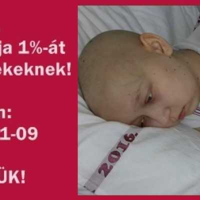 Adó 1% 2019 - alapítvány, adó 1%, támogatás