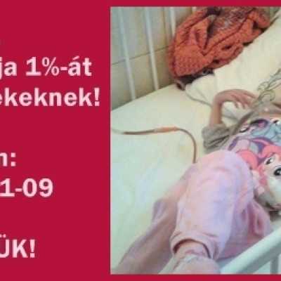 Adó 1% felajánlása - alapítvány, adó 1%, támogatás