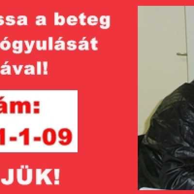 Adó 1% hasznos helyre - alapítvány, adó 1%, támogatás