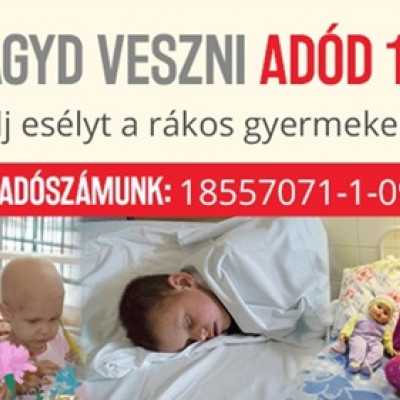 Adóbevallás-Tudja már kinek adja adója 1%-át? - alapítvány, adó 1%, támogatás