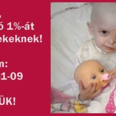 Célzott támogatás 2014. decemberében - alapítvány, adó 1%, támogatás