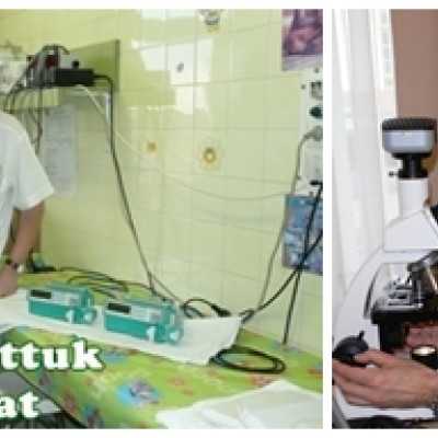 Célzott támogatás 2014. októberben - alapítvány, adó 1%, támogatás