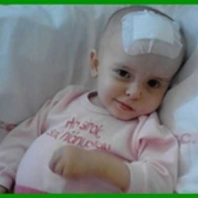 Célzott támogatás 2014. szeptemberben - alapítvány, adó 1%, támogatás