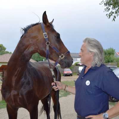 Családi nap Sasvári Sándornál - alapítvány, adó 1%, támogatás