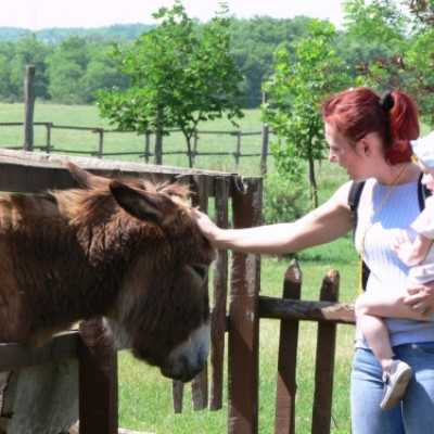 Családok kirándulása a Lázár Lovasparkba - adó, 1%, alapítvány, támogatás