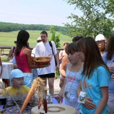 Családok kirándulása a Lázár Lovasparkba - adó, 1%, alapítvány, támogatás