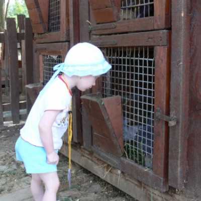 Családok kirándulása a Lázár Lovasparkba - adó, 1%, alapítvány, támogatás