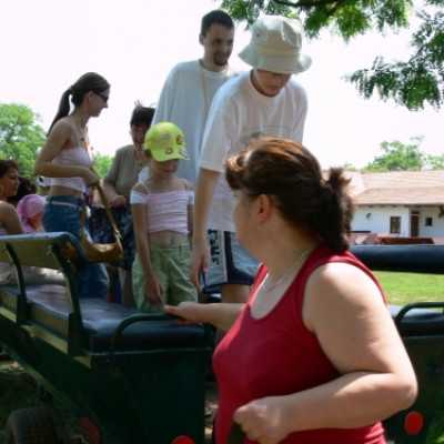 Családok kirándulása a Lázár Lovasparkba - adó, 1%, alapítvány, támogatás