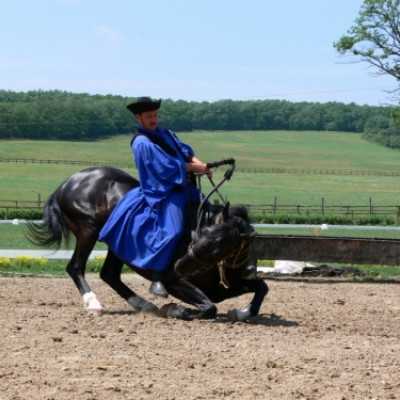 Családok kirándulása a Lázár Lovasparkba - adó, 1%, alapítvány, támogatás