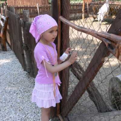 Családok kirándulása a Lázár Lovasparkba - adó, 1%, alapítvány, támogatás