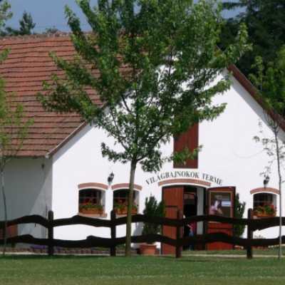 Családok kirándulása a Lázár Lovasparkba - adó, 1%, alapítvány, támogatás