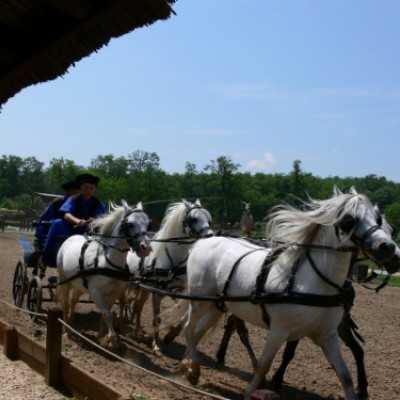 Családok kirándulása a Lázár Lovasparkba - adó, 1%, alapítvány, támogatás