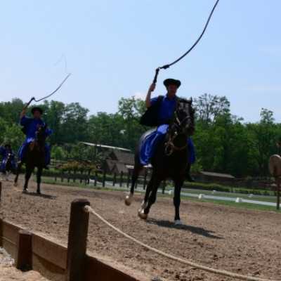 Családok kirándulása a Lázár Lovasparkba - adó, 1%, alapítvány, támogatás