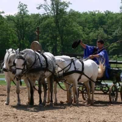 Családok kirándulása a Lázár Lovasparkba - adó, 1%, alapítvány, támogatás