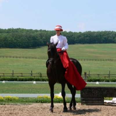 Családok kirándulása a Lázár Lovasparkba - adó, 1%, alapítvány, támogatás